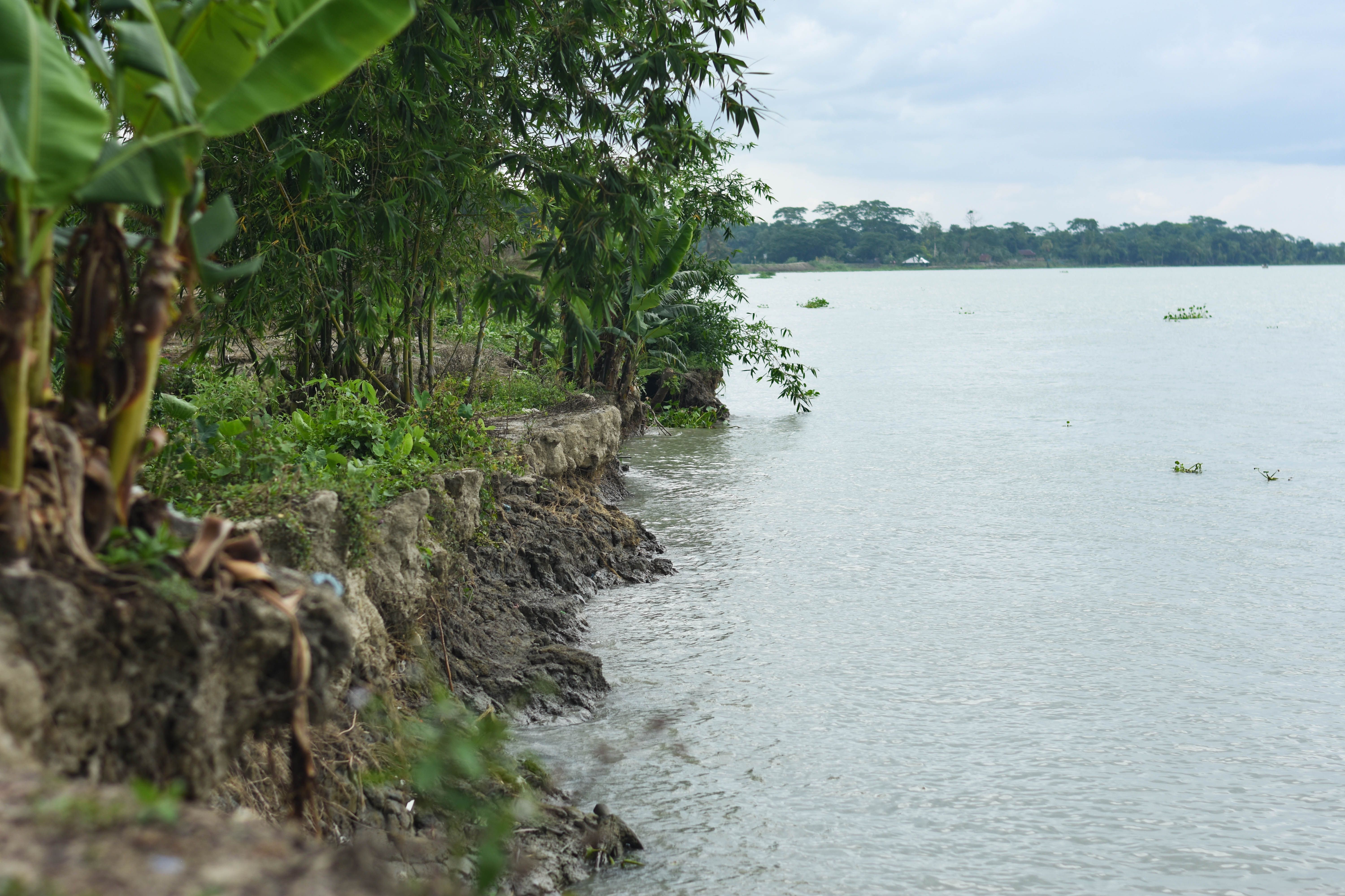 Mongla: An Exception or Example?