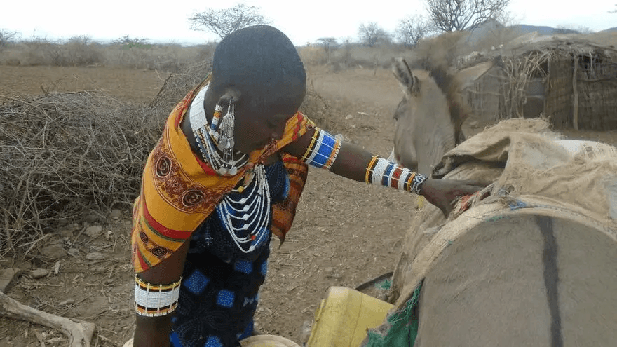 Climate change through the eyes of the Maasai — image 1 of 1