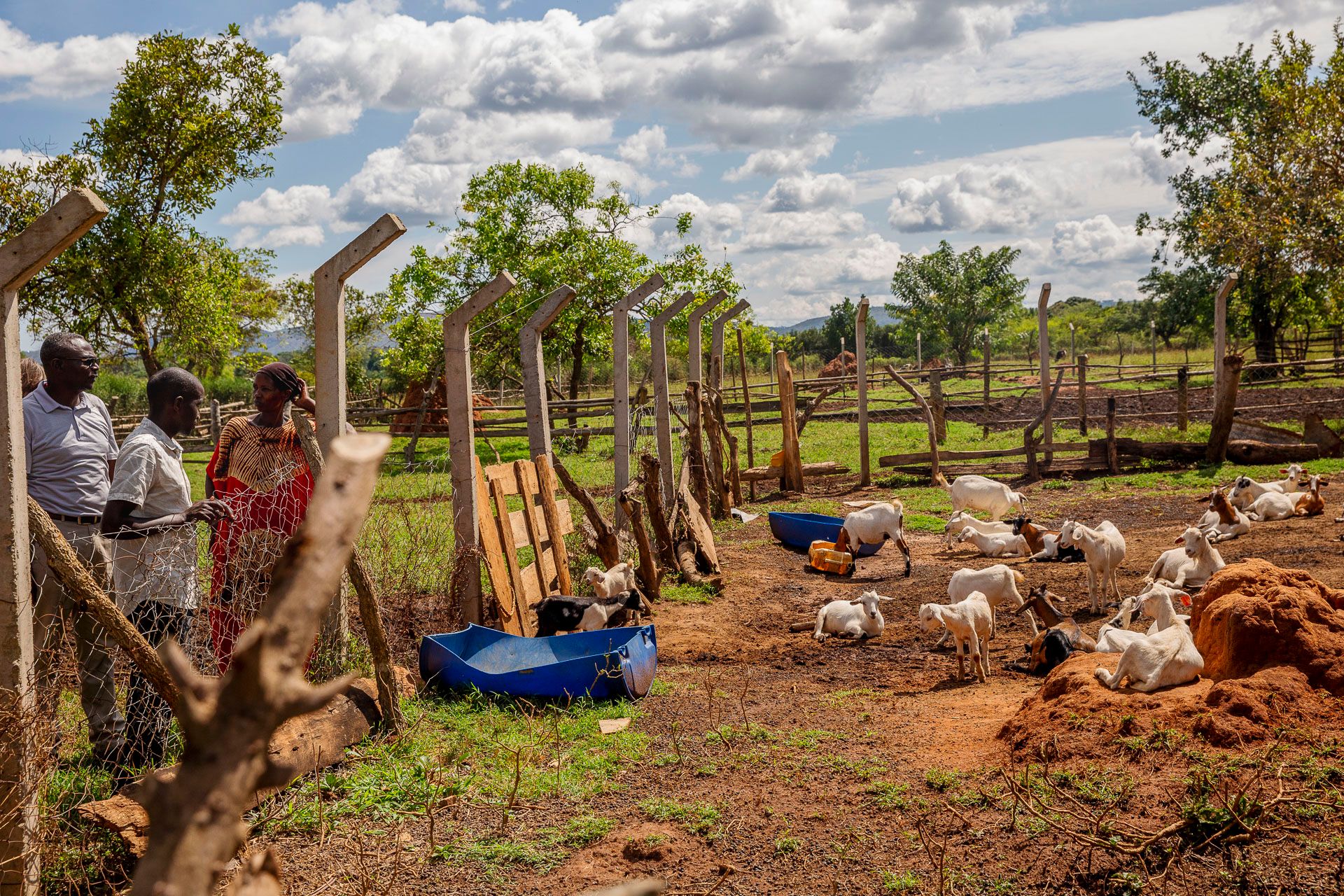 Makerere University’s Initiatives to Empower Local Farmers to Lead Collaborative Learning for Climate Change Adaptation in Uganda