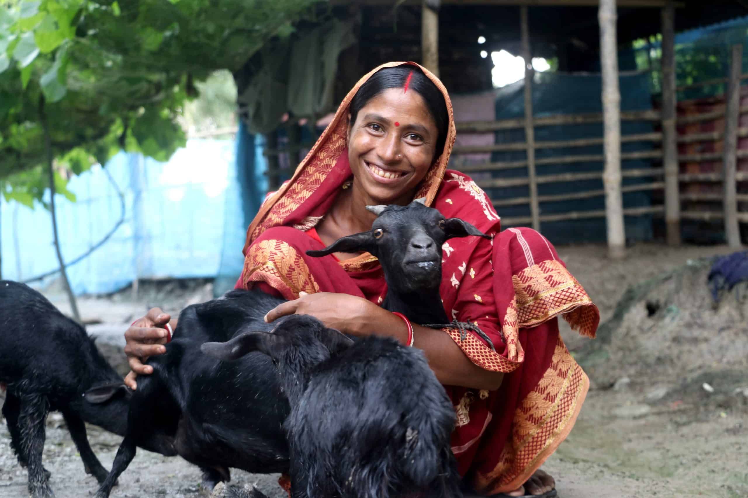 The Goat Economy and the Colonial Debt: A Tale of Feminised Survival from Bangladesh — image 1 of 1