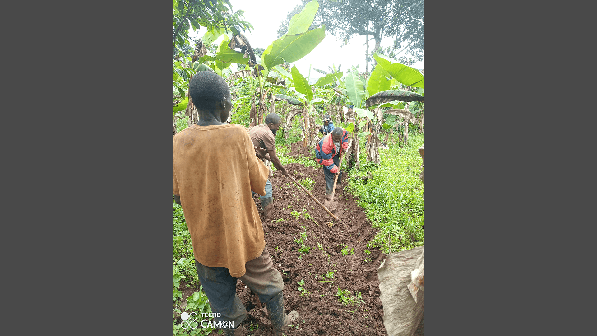 Makerere University’s Initiatives to Empower Local Farmers to Lead Collaborative Learning for Climate Change Adaptation in Uganda