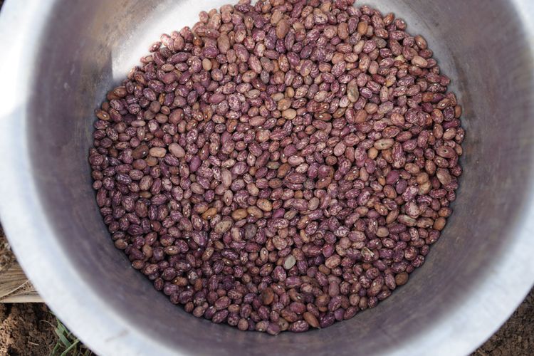 Informal collaborative learning among pastoral and agro‑pastoral farmers in Uganda: Why everyday interactions matter for knowledge sharing and rural resilience