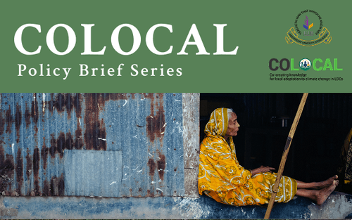 Policy recommendations for enhancing adaptive capacities and localising adaptation cover image